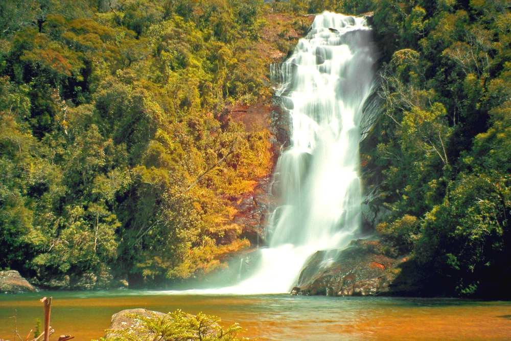 Cachoeira Santo Isidro, em São José do Barreiro (SP), cercada por mata (Foto: Adriano Aurelio Araujo/Wikimedia Commons, CC BY 2.0)