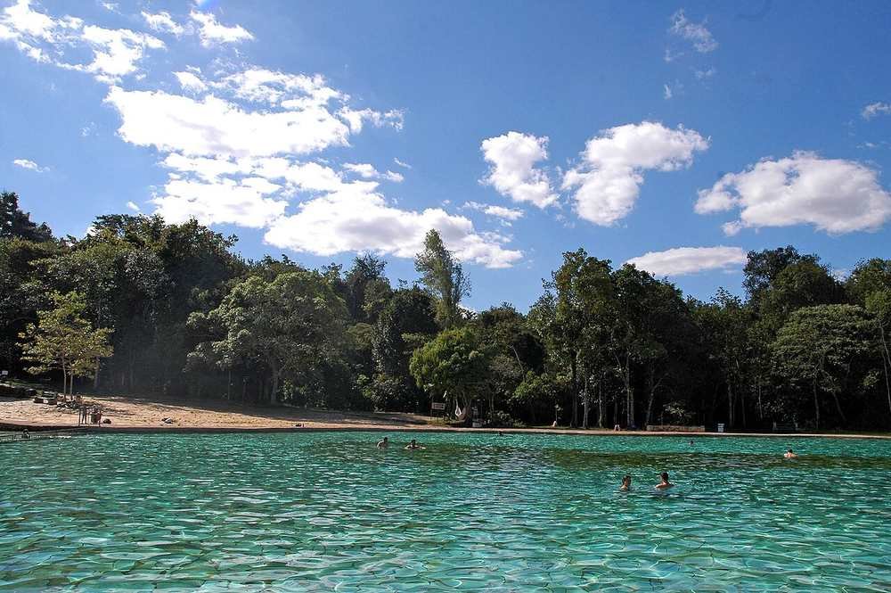 Vegetação de cerrado no Parque Nacional de Brasília
