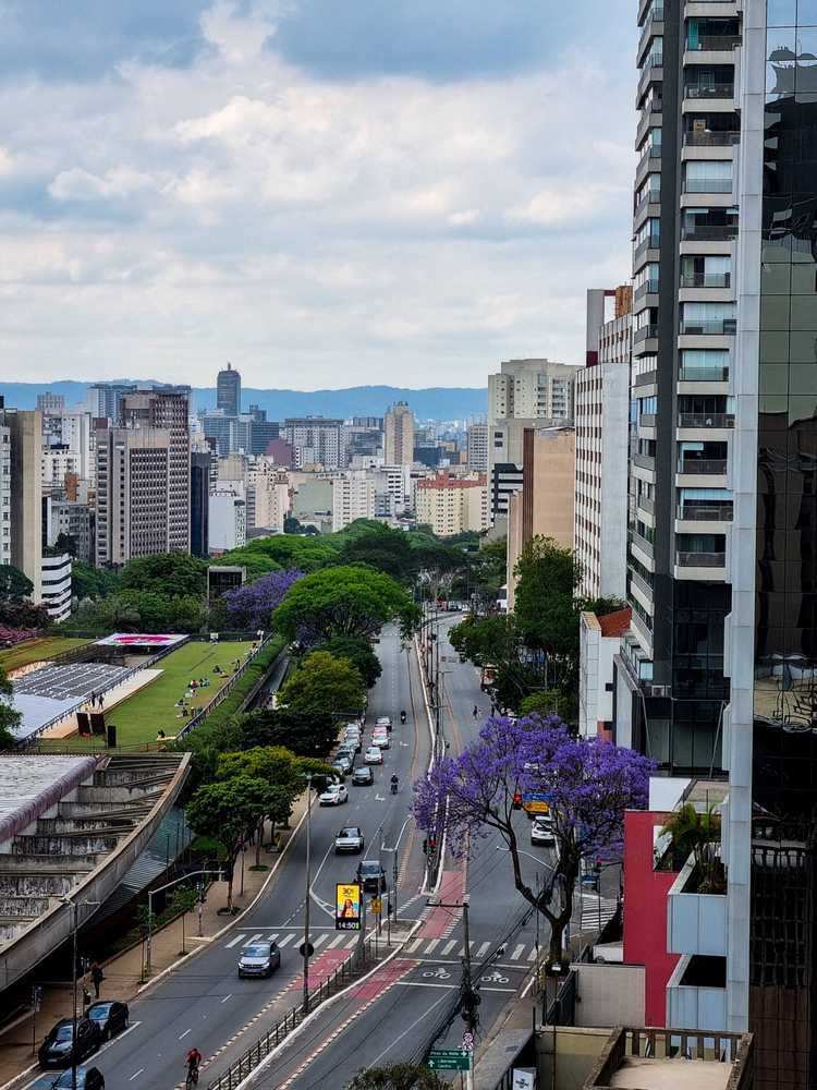 Vista aérea da Rua Vergueiro, na Liberdade, com trânsito e árvores floridas